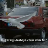 Kuş Pisliği Arabaya Zarar Verir Mi