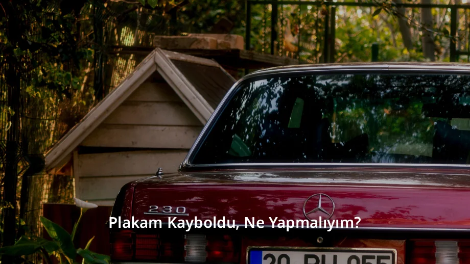 Plakam Kayboldu, Ne Yapmalıyım